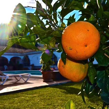 Villa Casa Michael - El Paraiso, Marbella